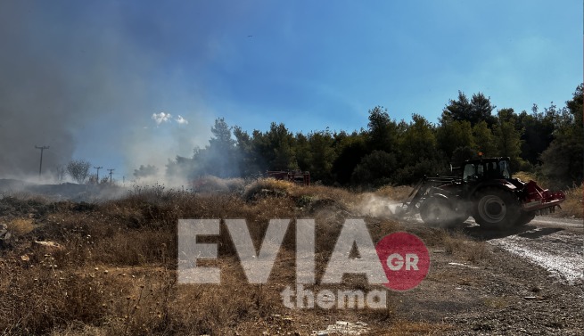 Φωτιά Εύβοια