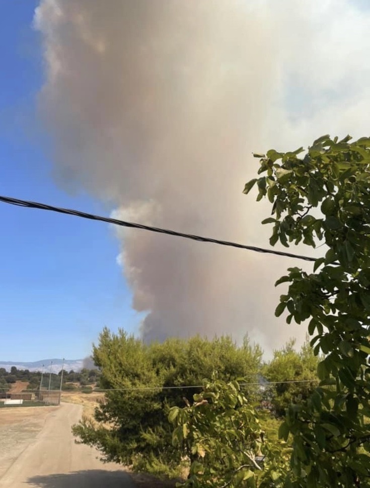 Φωτιά Εύβοια