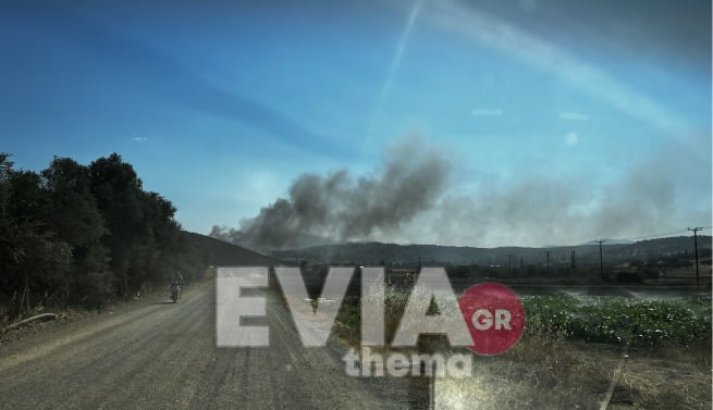 Φωτιά Εύβοια