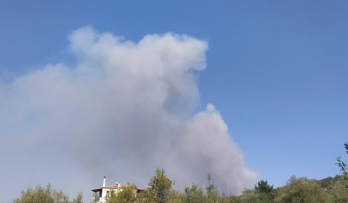 Φωτιά Εύβοια