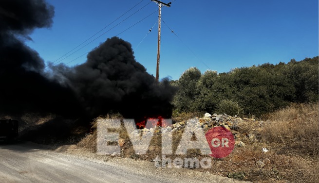 Φωτιά Εύβοια