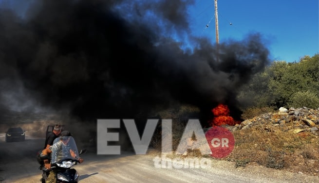 Φωτιά Εύβοια