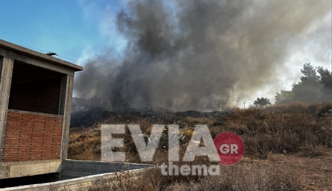 Φωτιά Εύβοια