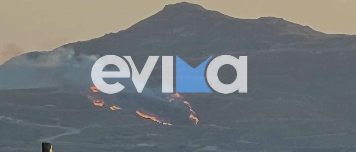 Φωτιά Εύβοια