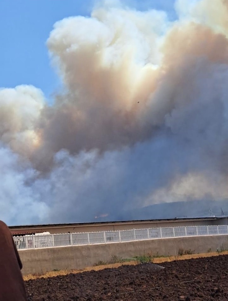 Φωτιά Εύβοια