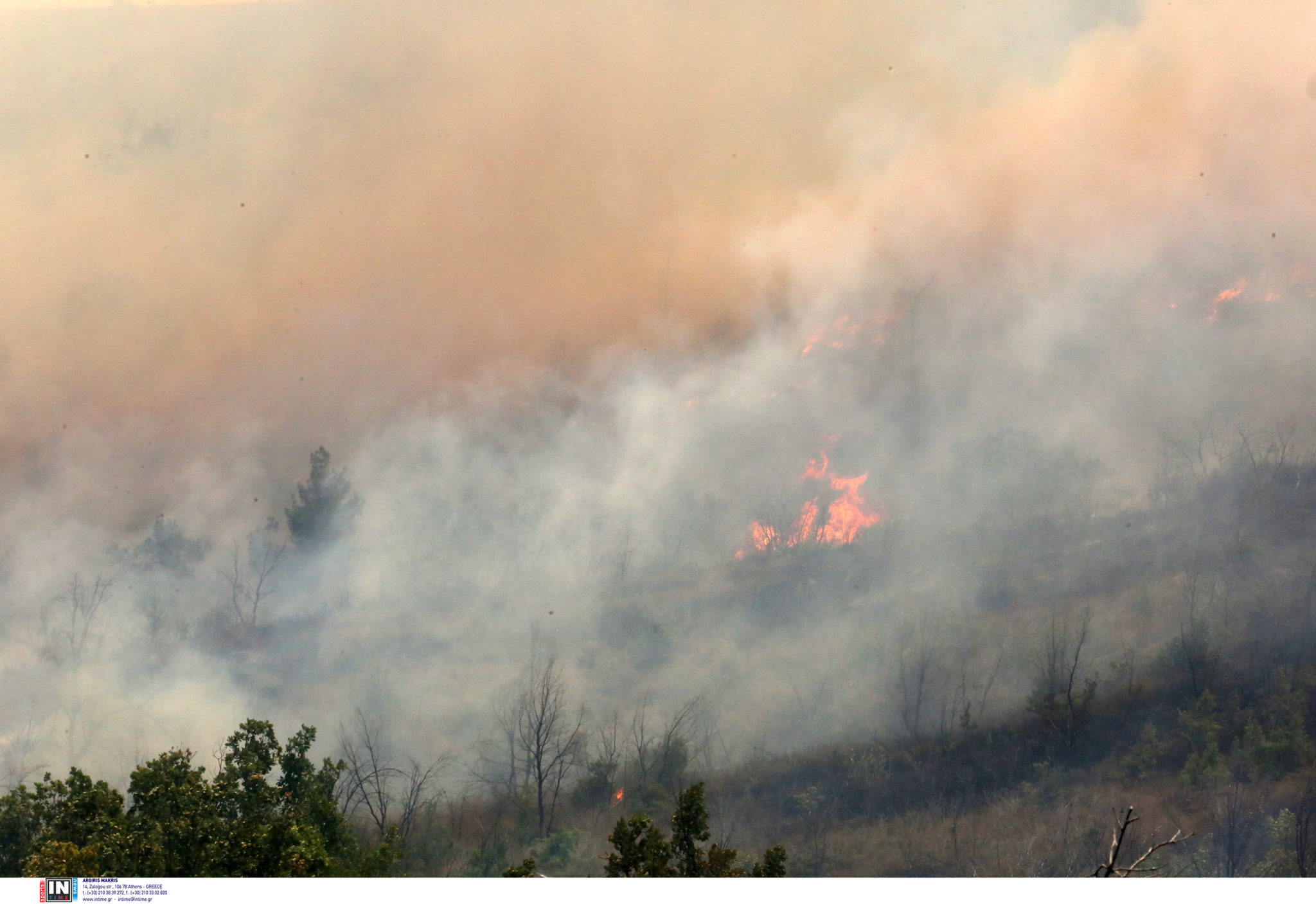 φωτιά Έβρος