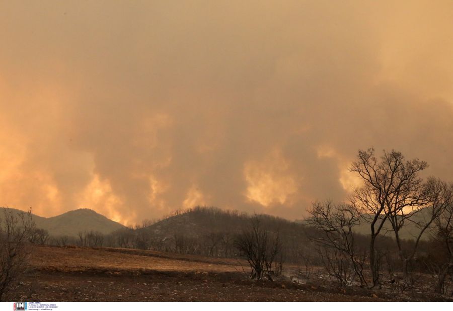 The inferno of fire in Alexandroupoli – “passed” before erupting in the Rhodope Mountains