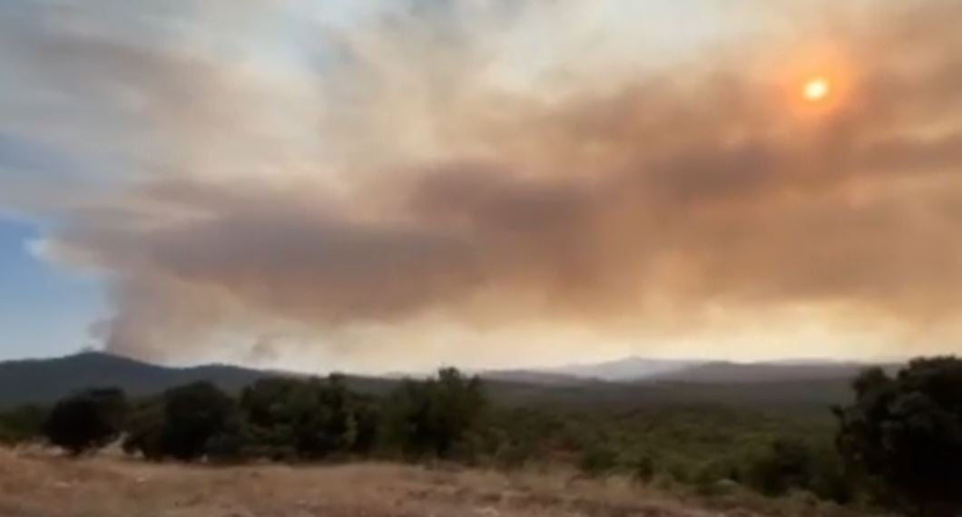 Φωτιά στον Έβρο: Εκκενώνεται η περιοχή Κοτρωνιά – Μήνυμα από το 112