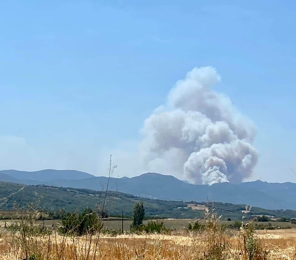 Φωτιά Έβρος Δαδιά