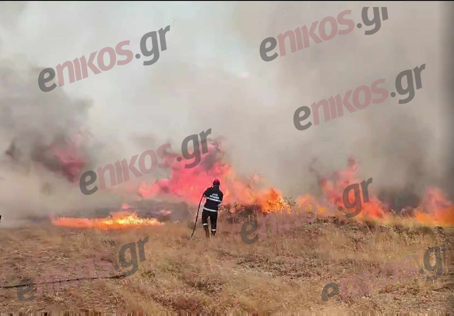 Φωτιά Έβρος Λευκίμμη
