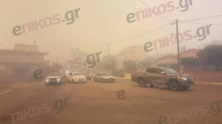 Φωτιά Φθιώτιδα Μακρακώμη