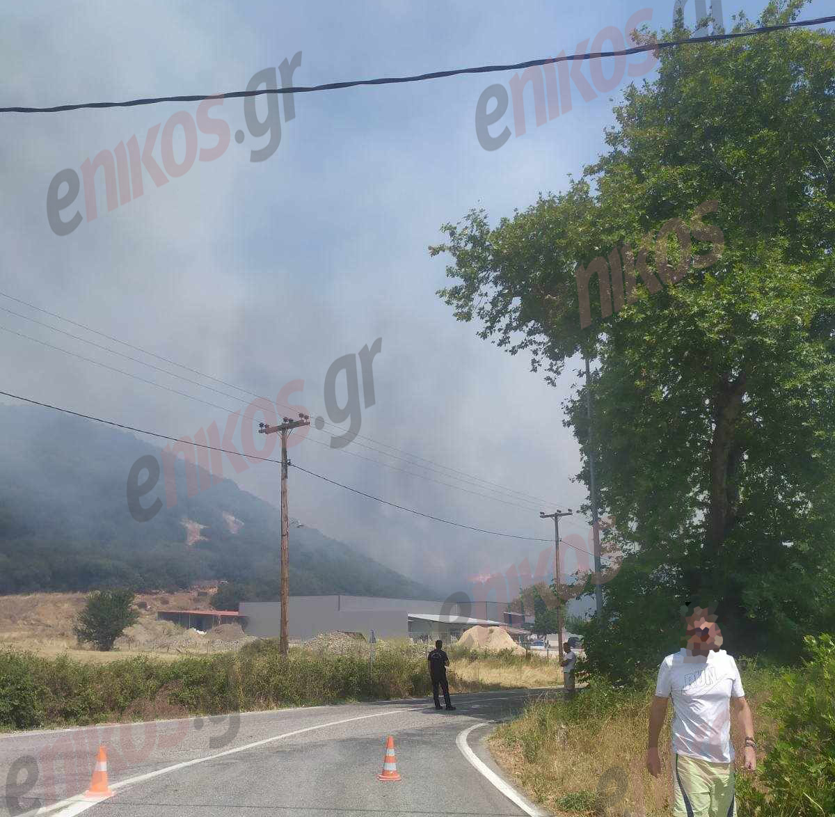 Φωτιά Φθιώτιδα Μακρακώμη