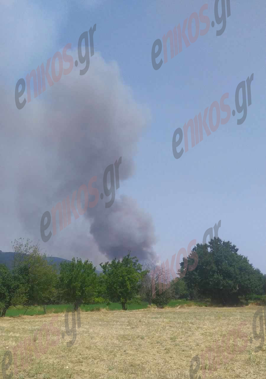 Φωτιά Φθιώτιδα Μακρακώμη