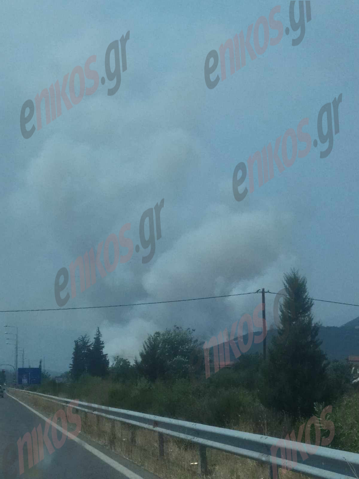 Φωτιά Φθιώτιδα Μακρακώμη