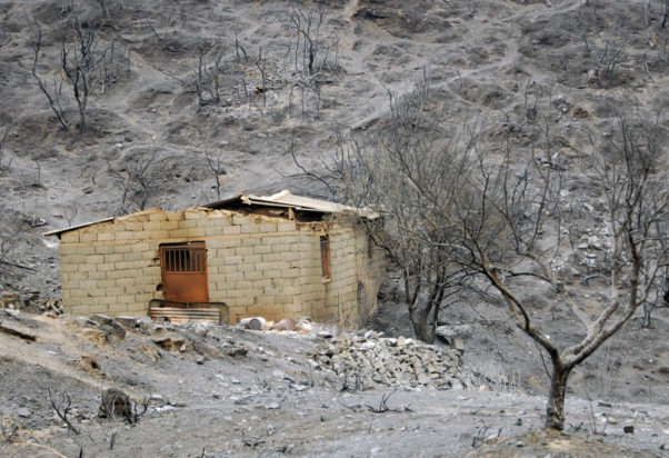 Φωτιά στην Ηλεία 2007