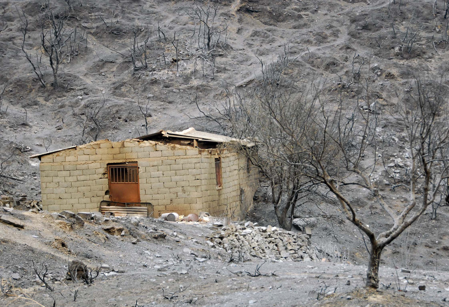 Φωτιά στην Ηλεία 2007