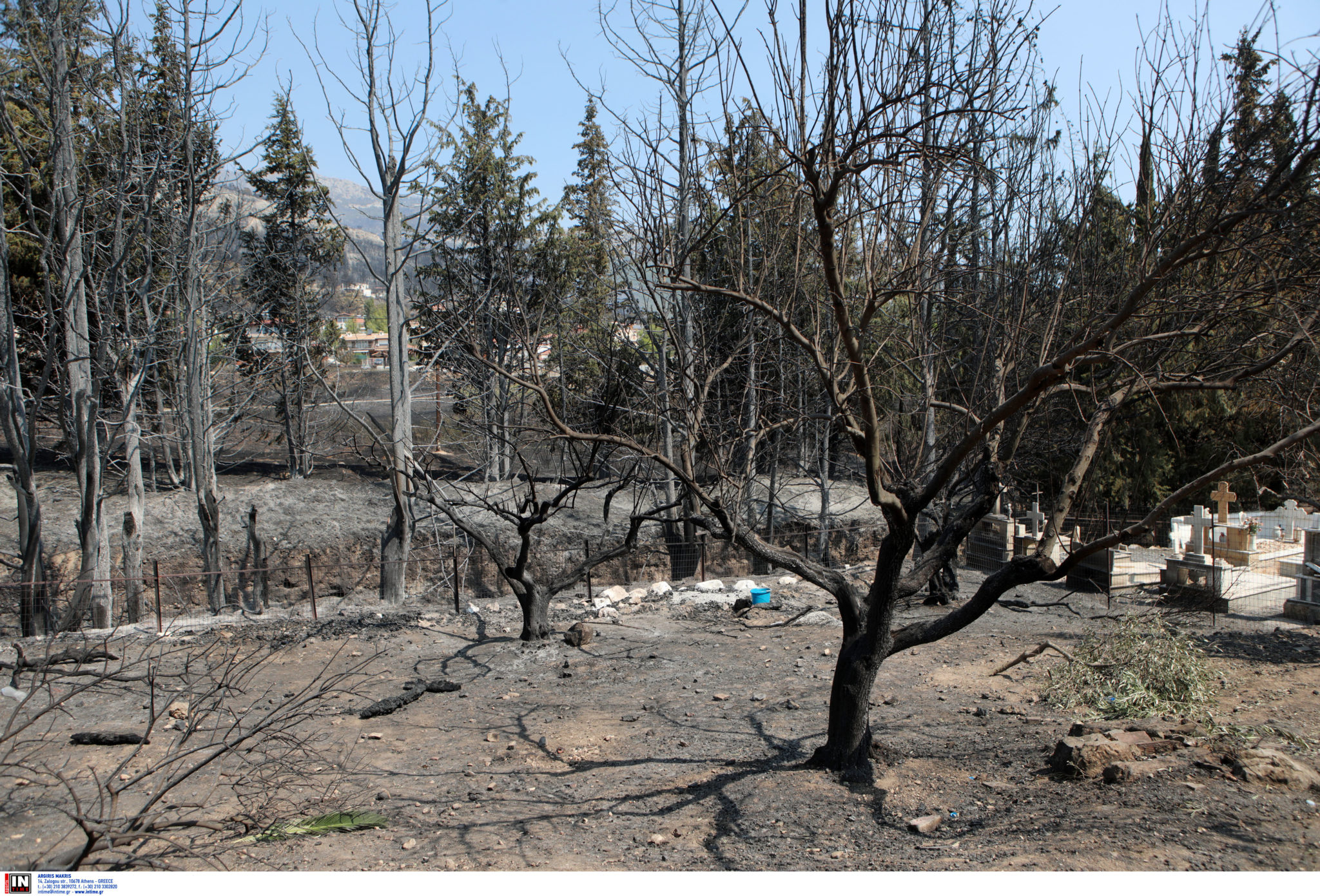 Φωτιά καμένα δέντρα