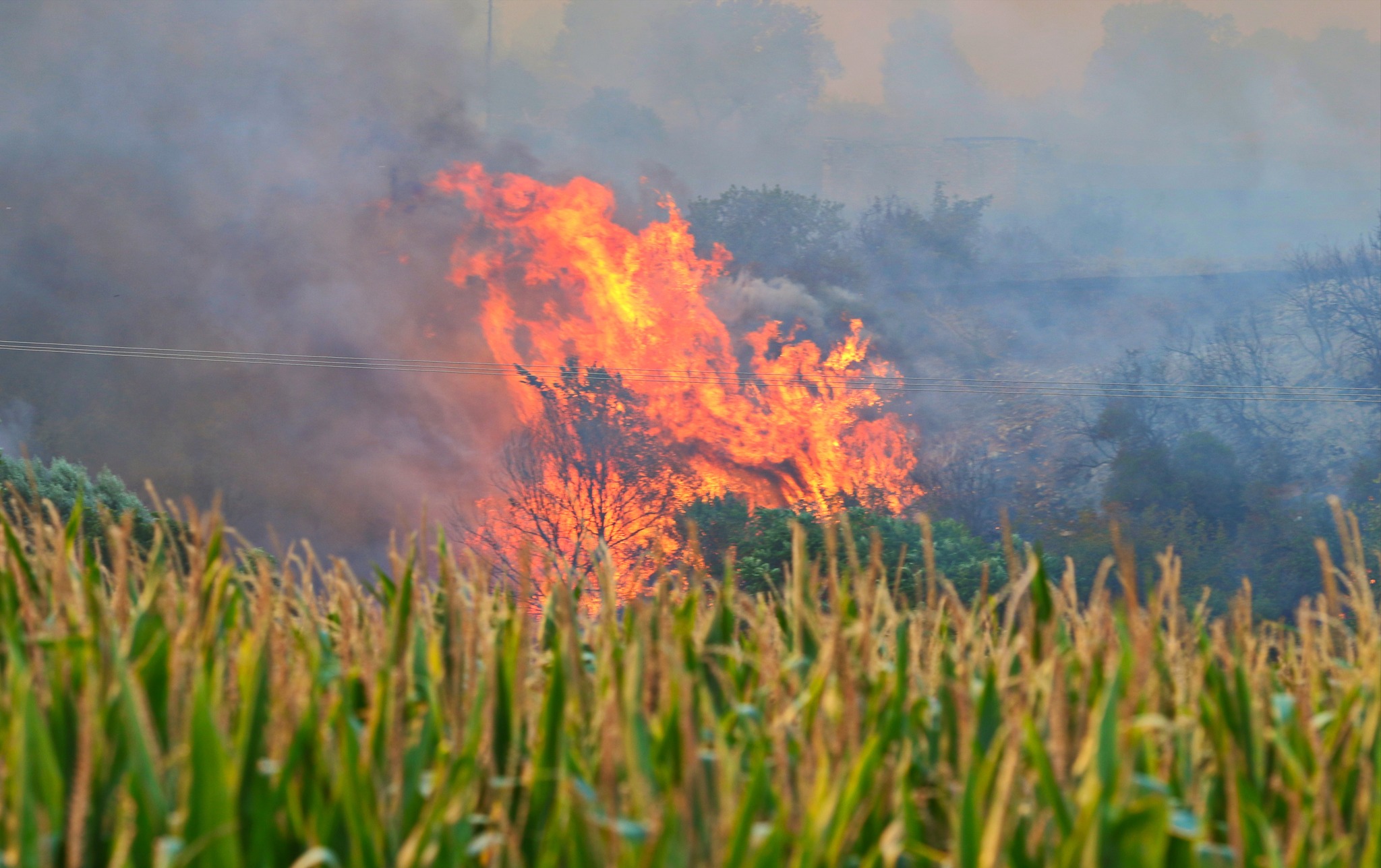 Φωτιά Καβάλα