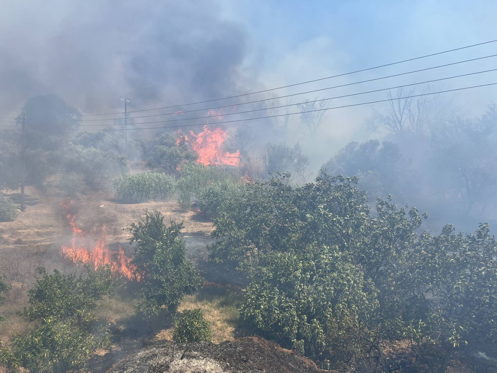 Φωτιά Κρήτη Ηράκλειο