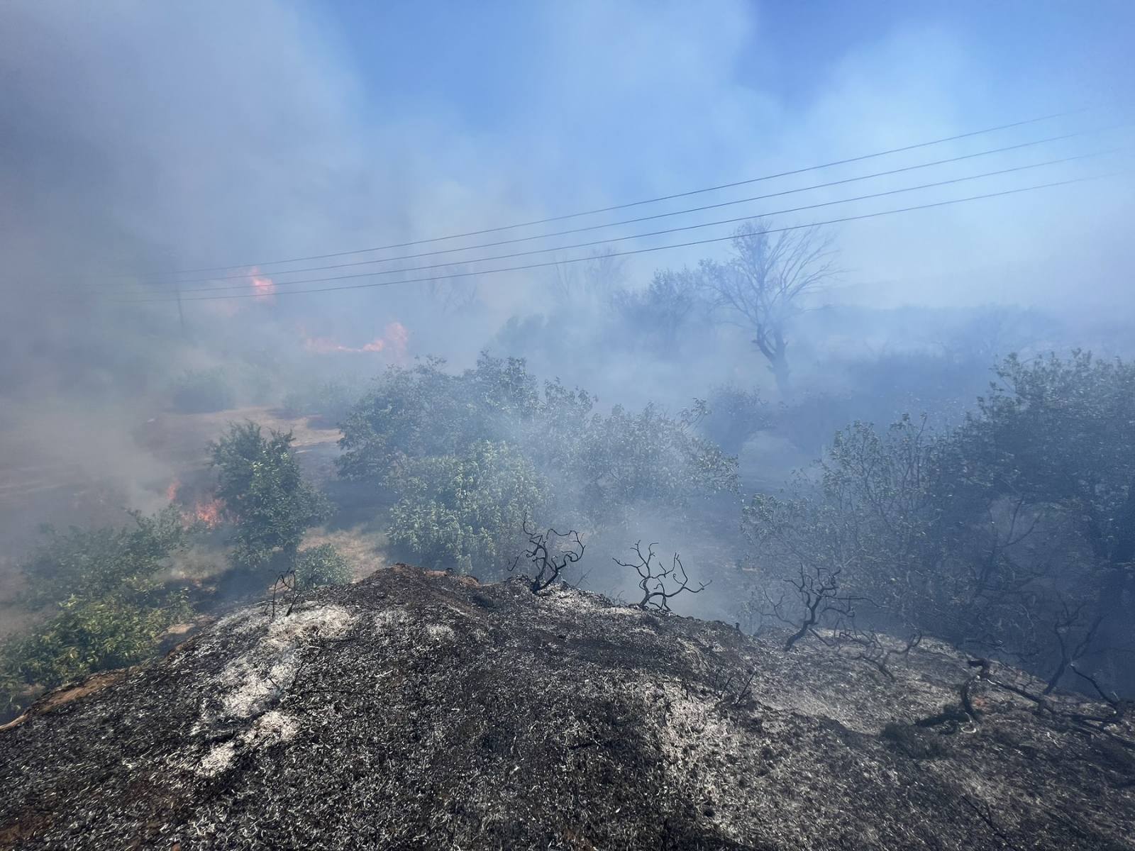 Φωτιά Κρήτη Ηράκλειο