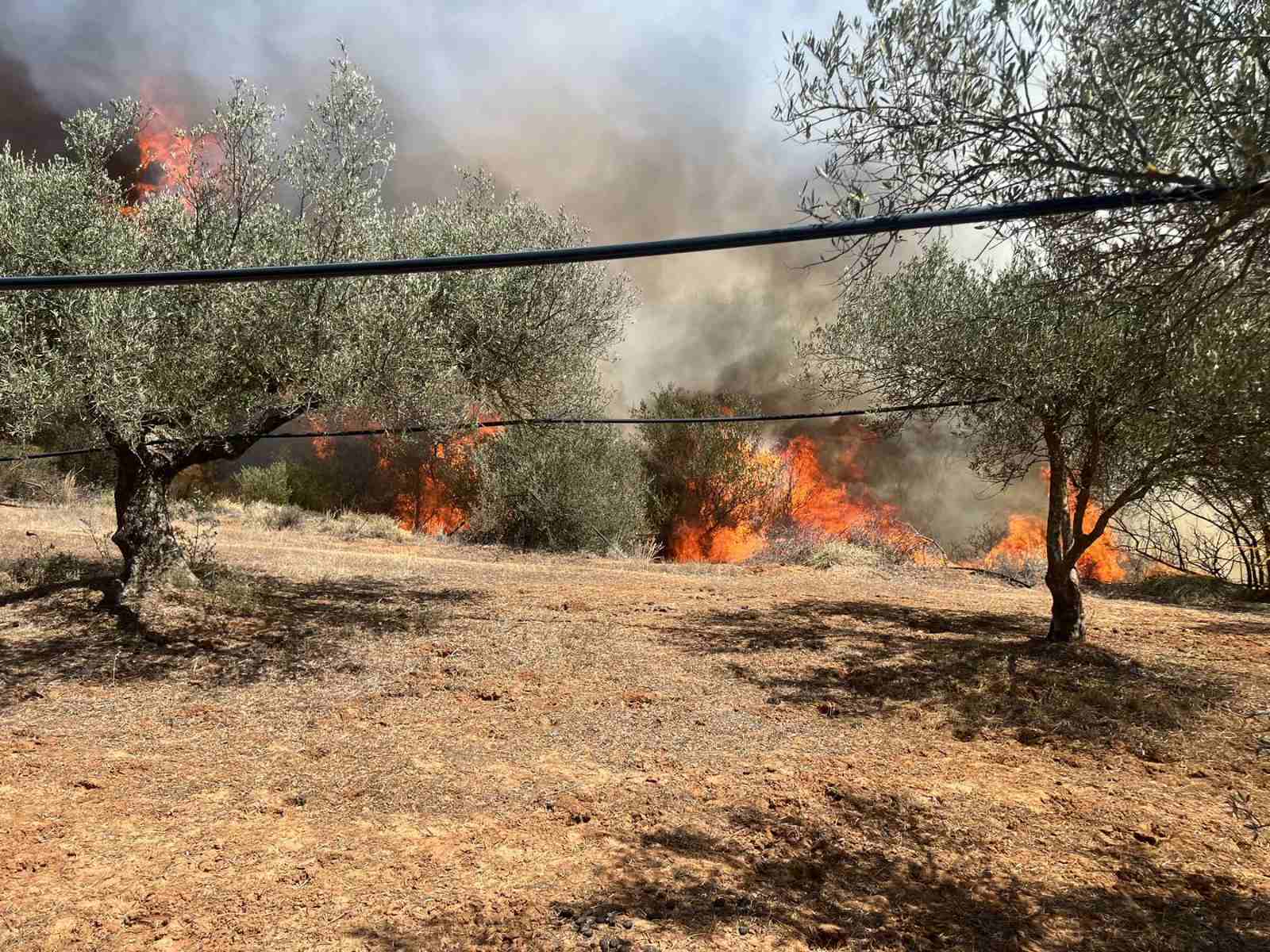 Φωτιά Κρήτη Ηράκλειο