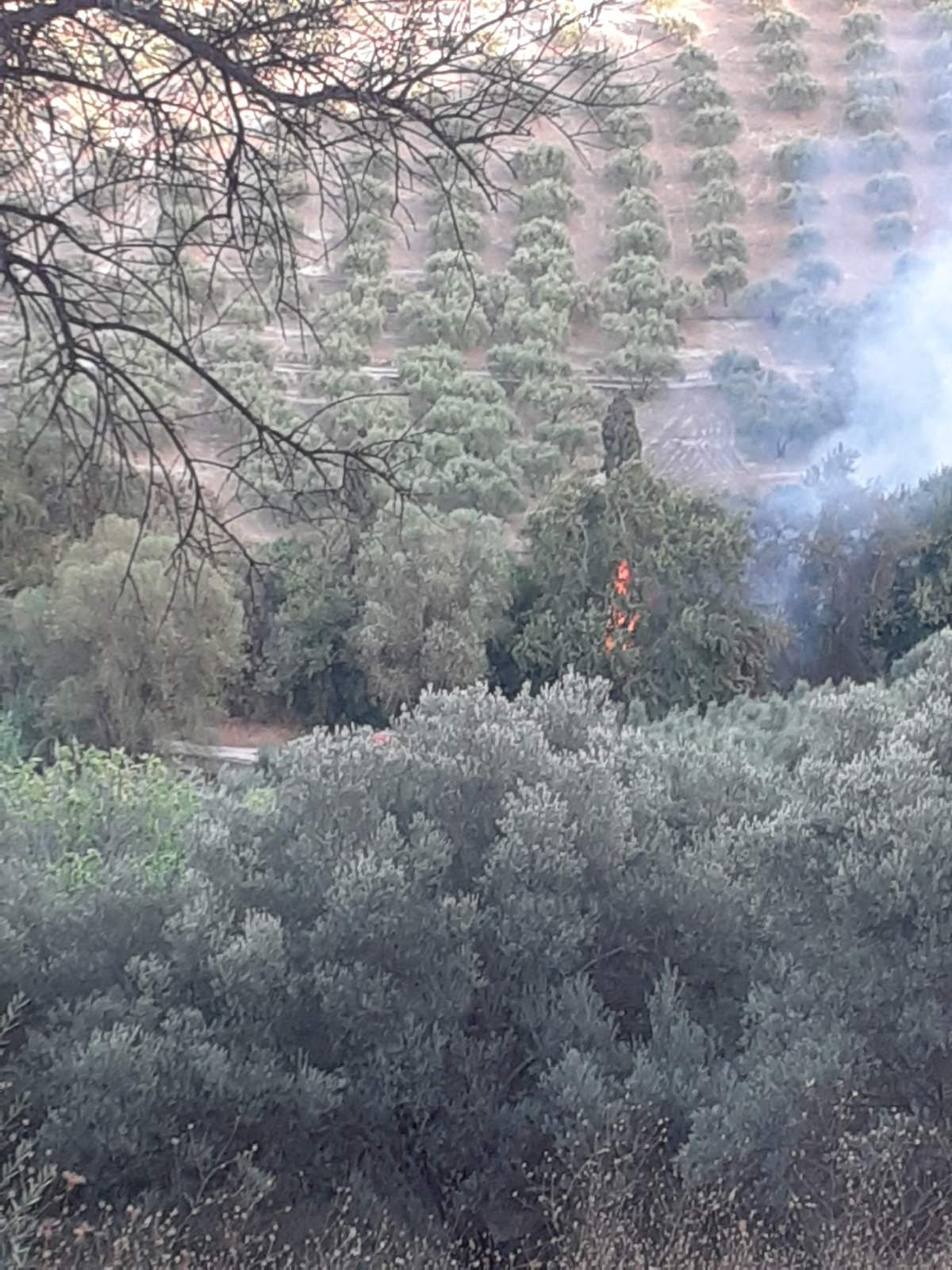 Φωτιά Κρήτη Ηράκλειο