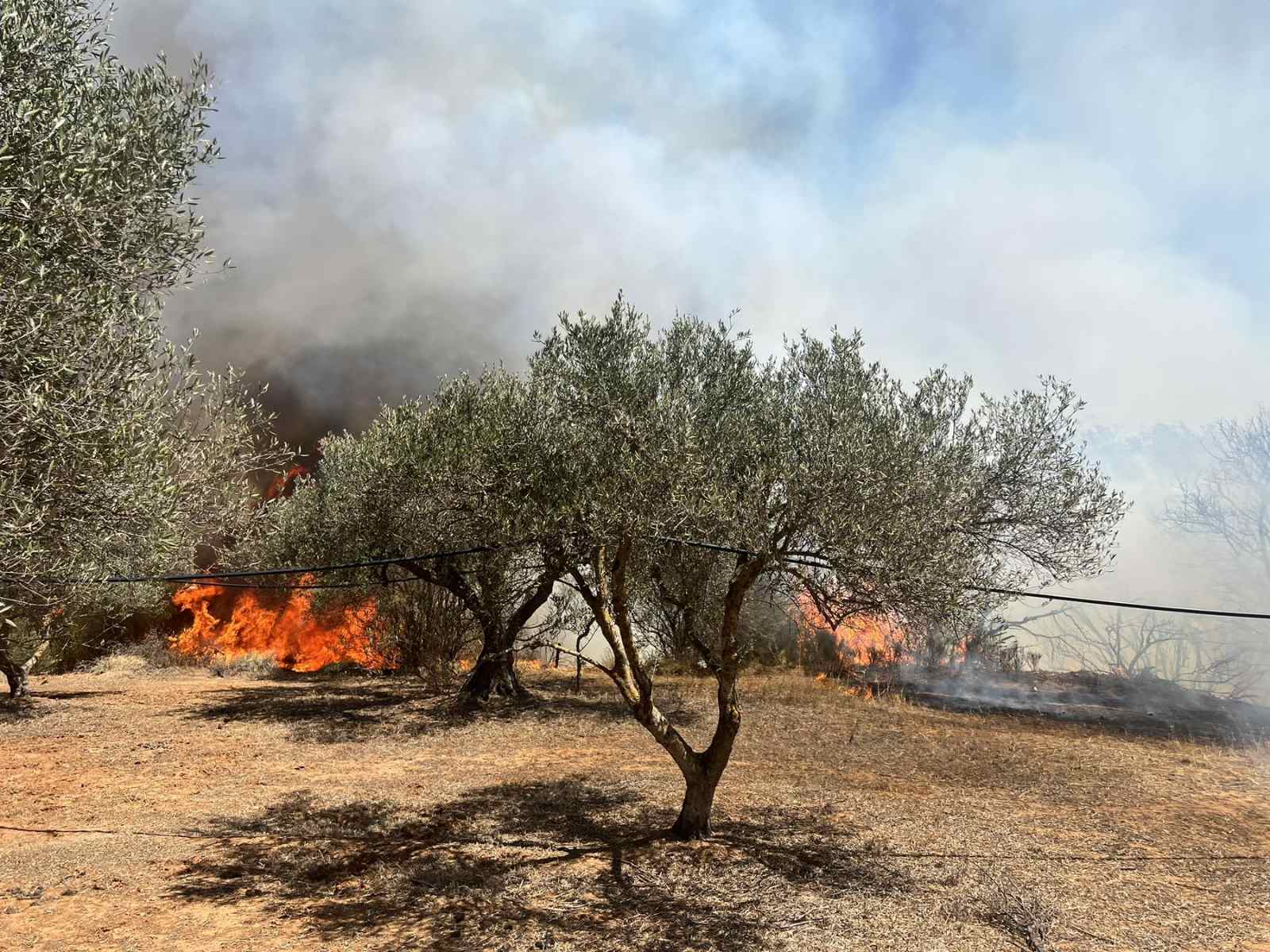 Φωτιά Κρήτη Ηράκλειο