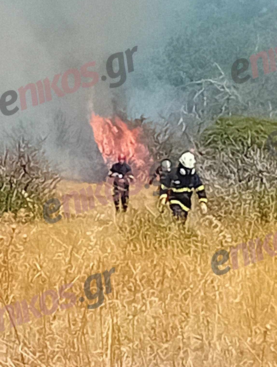 Φωτιά Λευκίμμη Έβρος