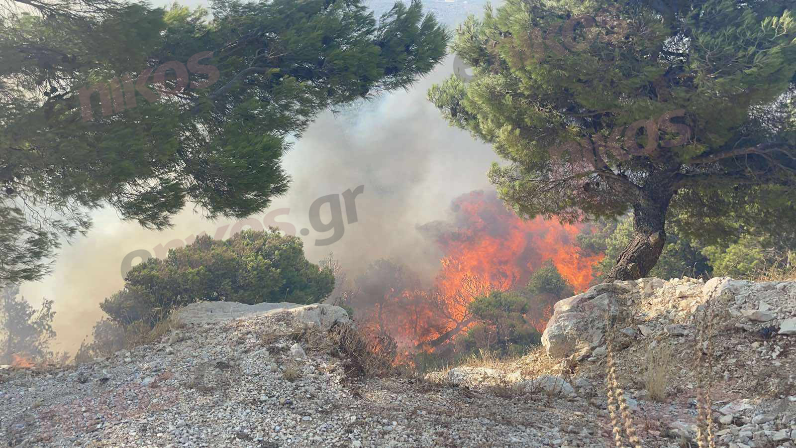 Φωτιά στην Πάρνηθα