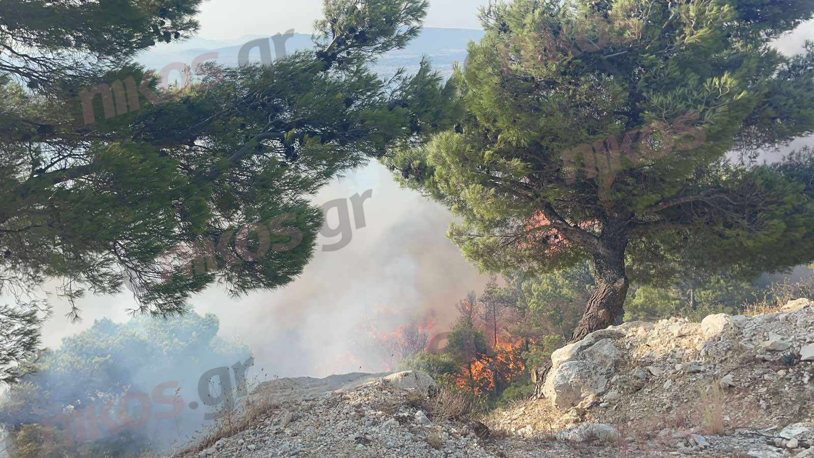 Φωτιά στην Πάρνηθα