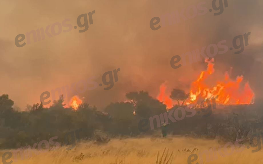 Φωτιά Πάρνηθα Φυλή