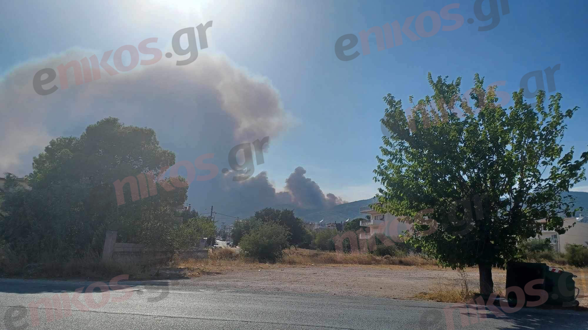 Φωτιά Πάρνηθα Φυλή