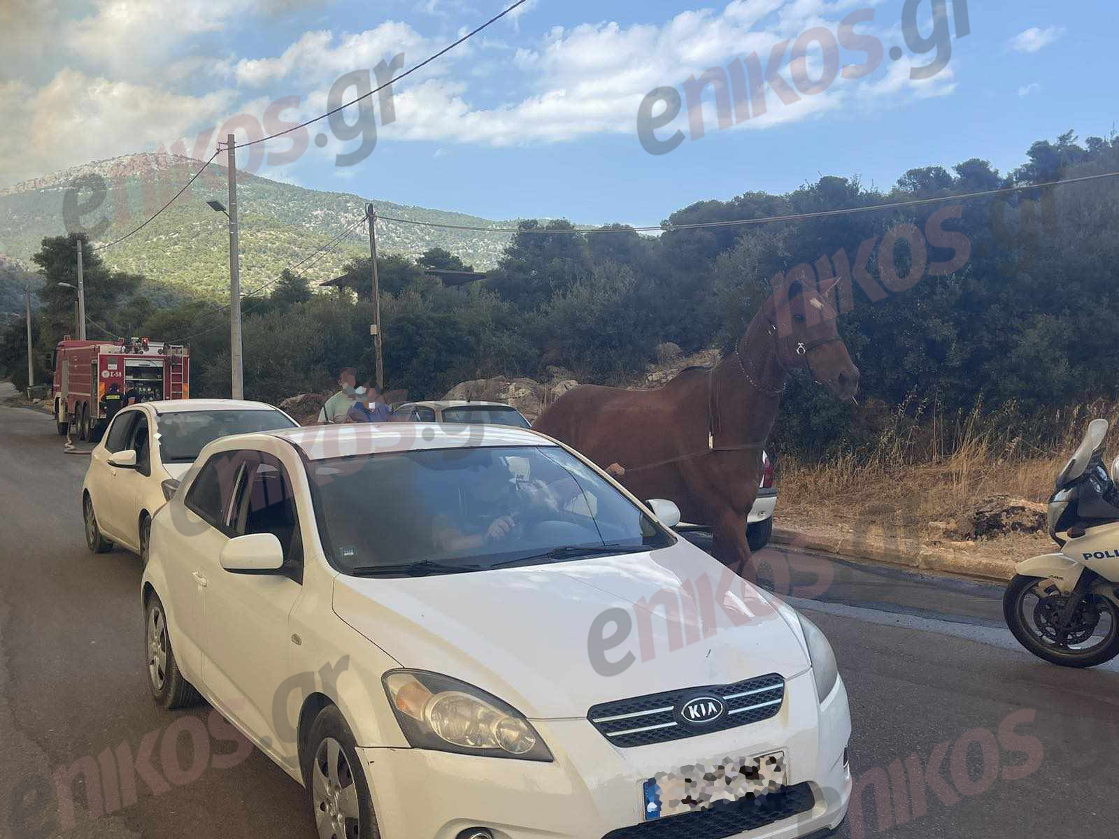 Φωτιά Πάρνηθα Φυλή Άλογο