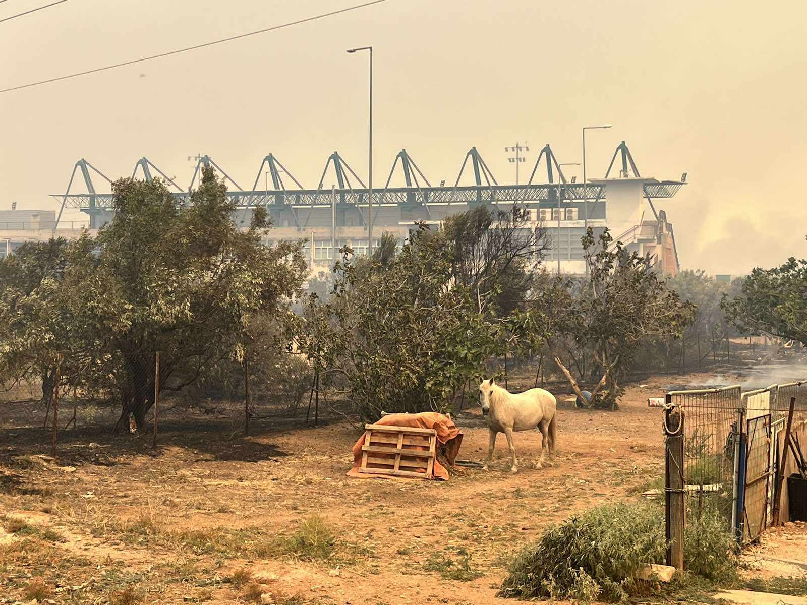 Φωτιά Πάρνηθα
