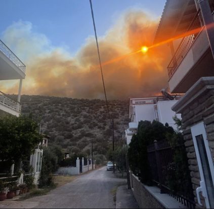 Φωτιά Πρόδρομος Βοιωτία