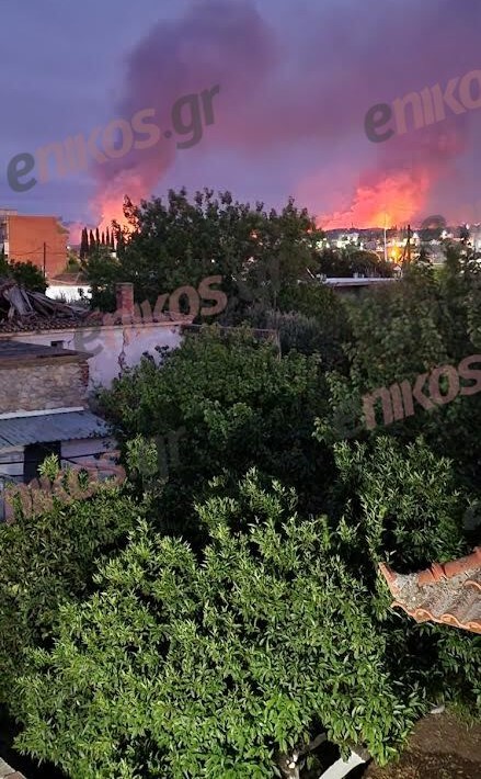 Φωτιά Ψαχνά