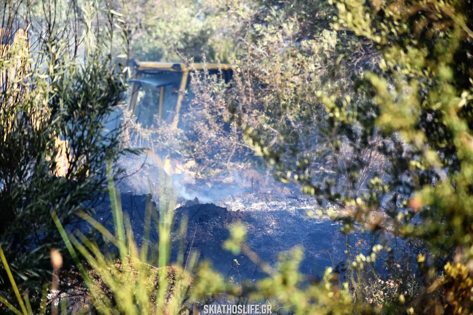 φωτιά Σκιάθος