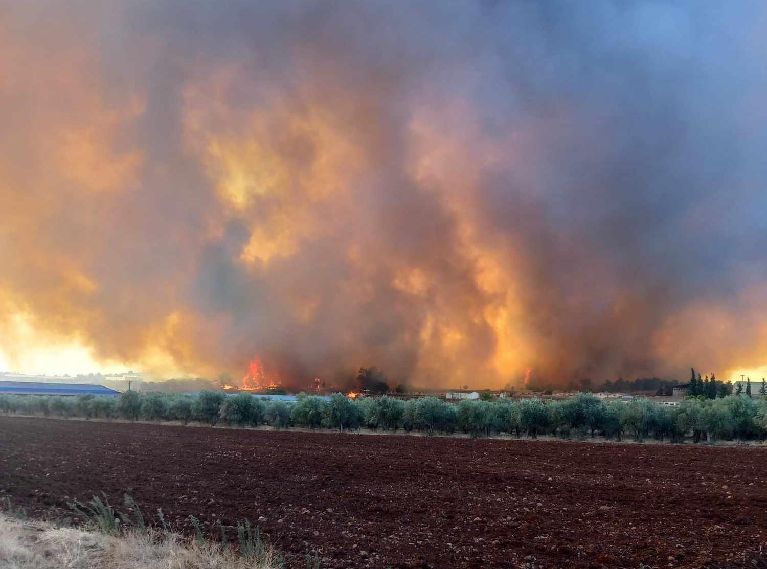 Φωτιά Εύβοια