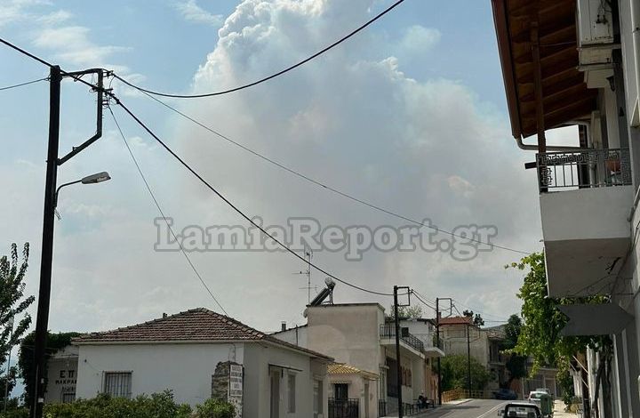 φωτιά Βίτωλη Μακρακώμη