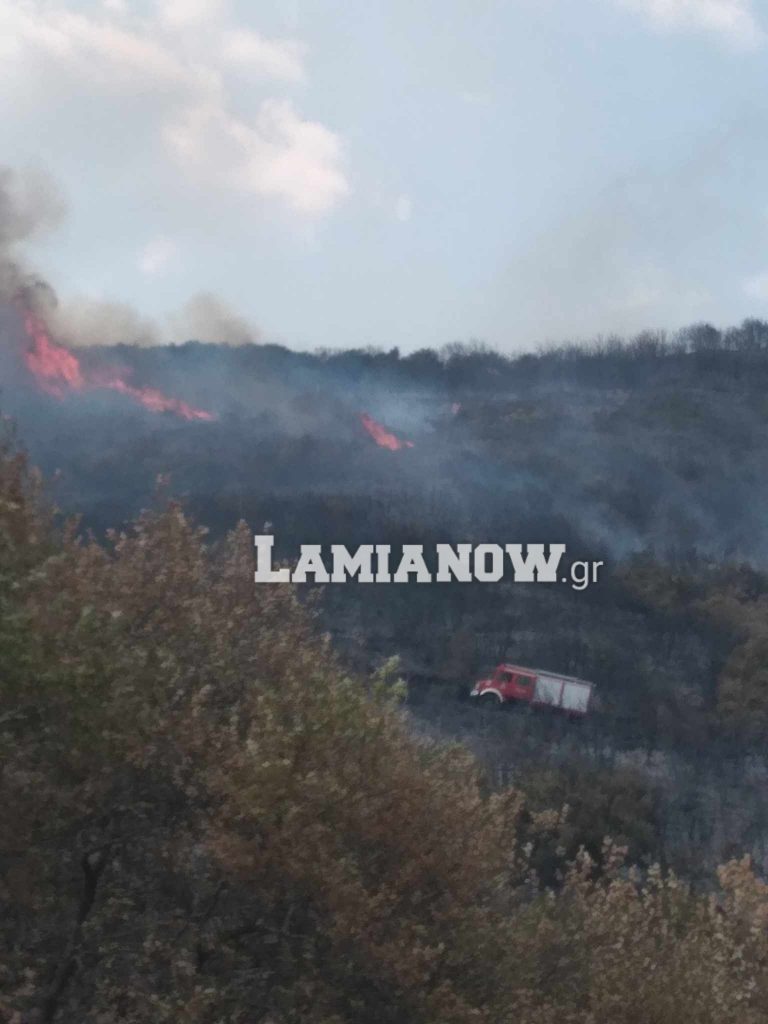 φωτιά Βίτωλη Μακρακώμη