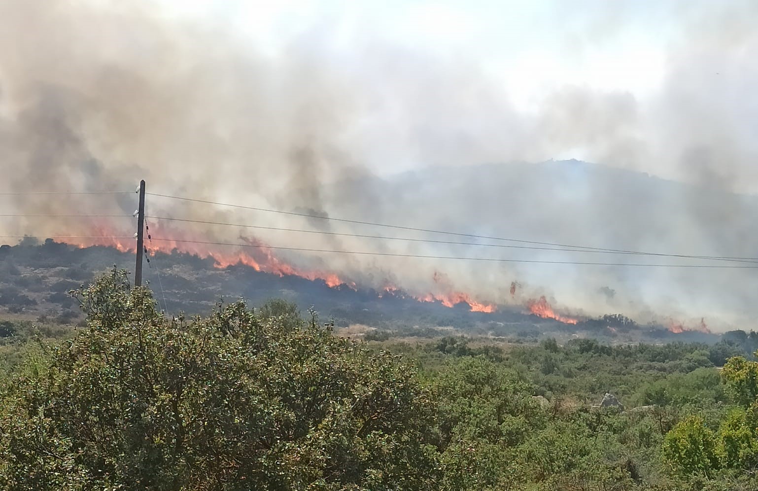 Νέα φωτιά στην Βοιωτία – Καίγεται δασική έκταση στην Υλίκη – ΒΙΝΤΕΟ