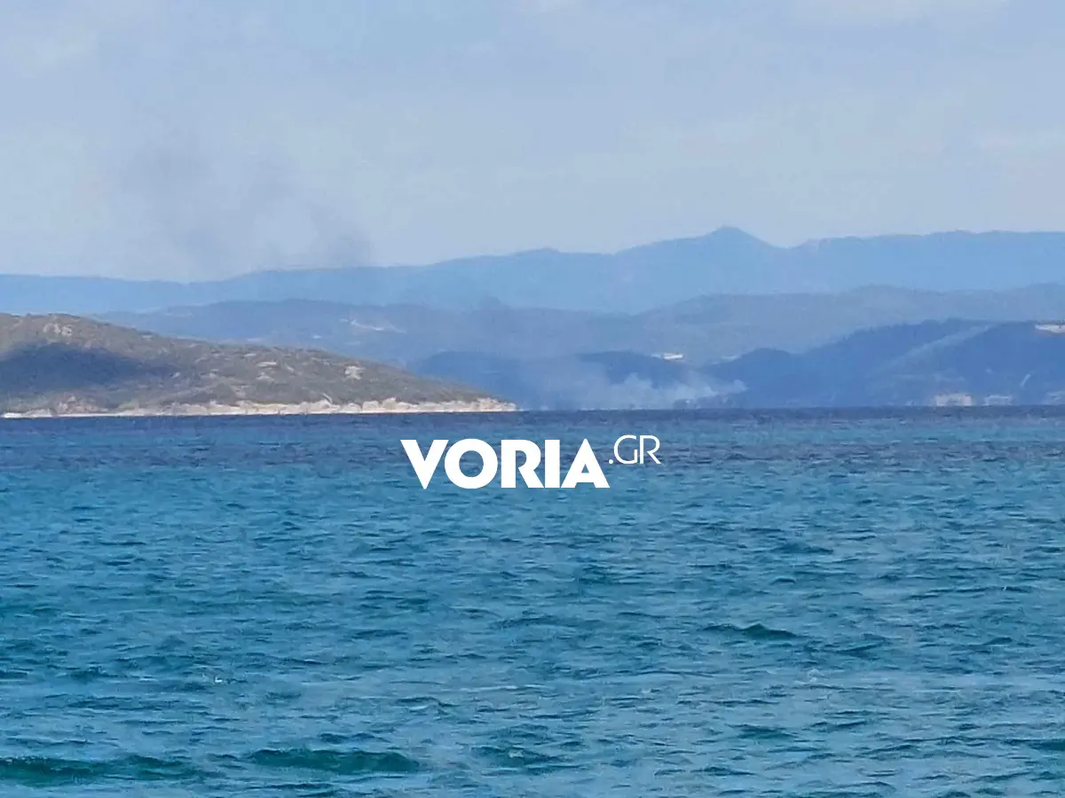 Χαλκιδική Δεβελίκι φωτιά