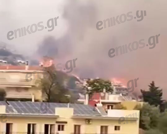 Φωτιά στην Φυλή: Πώς οι φλόγες κινήθηκαν από την Χασιά προς την Πάρνηθα – Βίντεο αναγνώστη