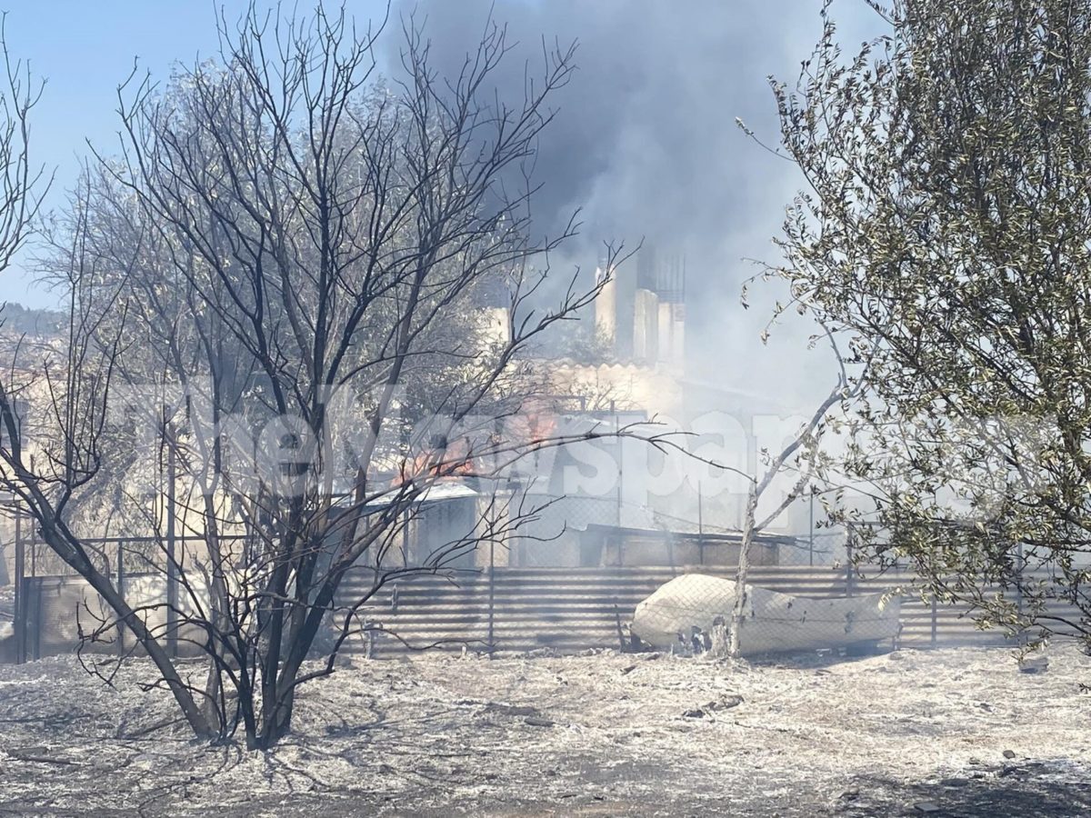 Φωτιά Μαγνησία