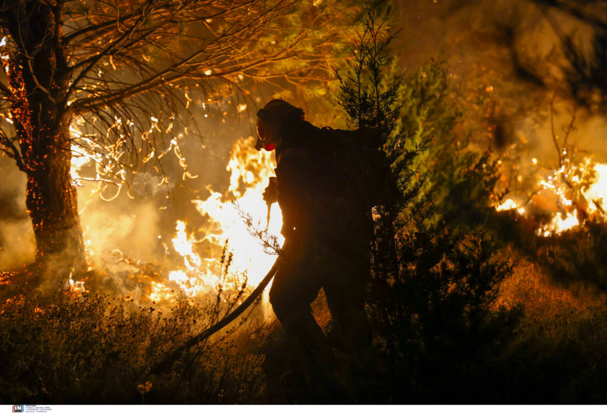 Φωτιές: Ολονύχτια μάχη με τις φλόγες σε Όλυμπο και Μάνη – Οριοθετήθηκε το πύρινο μέτωπο στην Ροδόπη