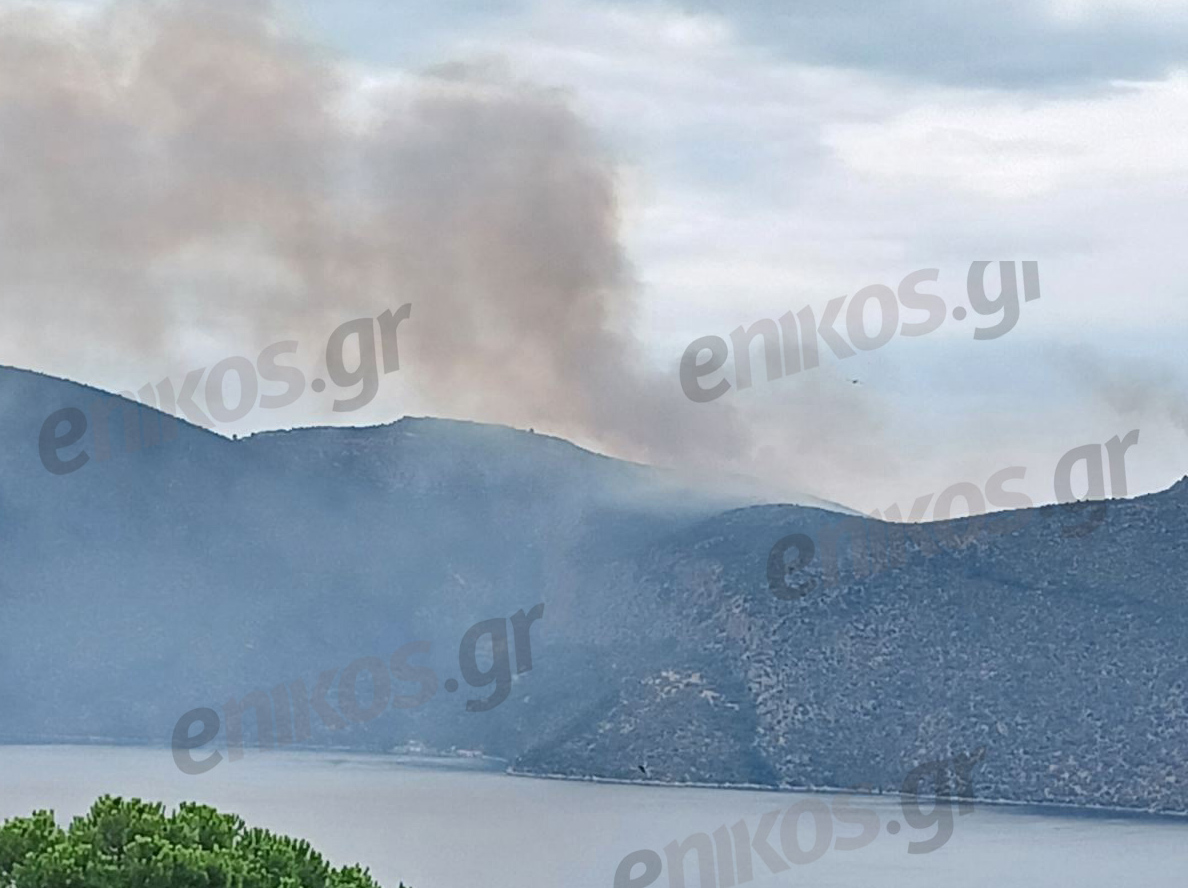 Φθιώτιδα: Οι πρώτες εικόνες από την φωτιά στη θέση Γκάτζα του δήμου Λοκρών – ΦΩΤΟ αναγνώστη