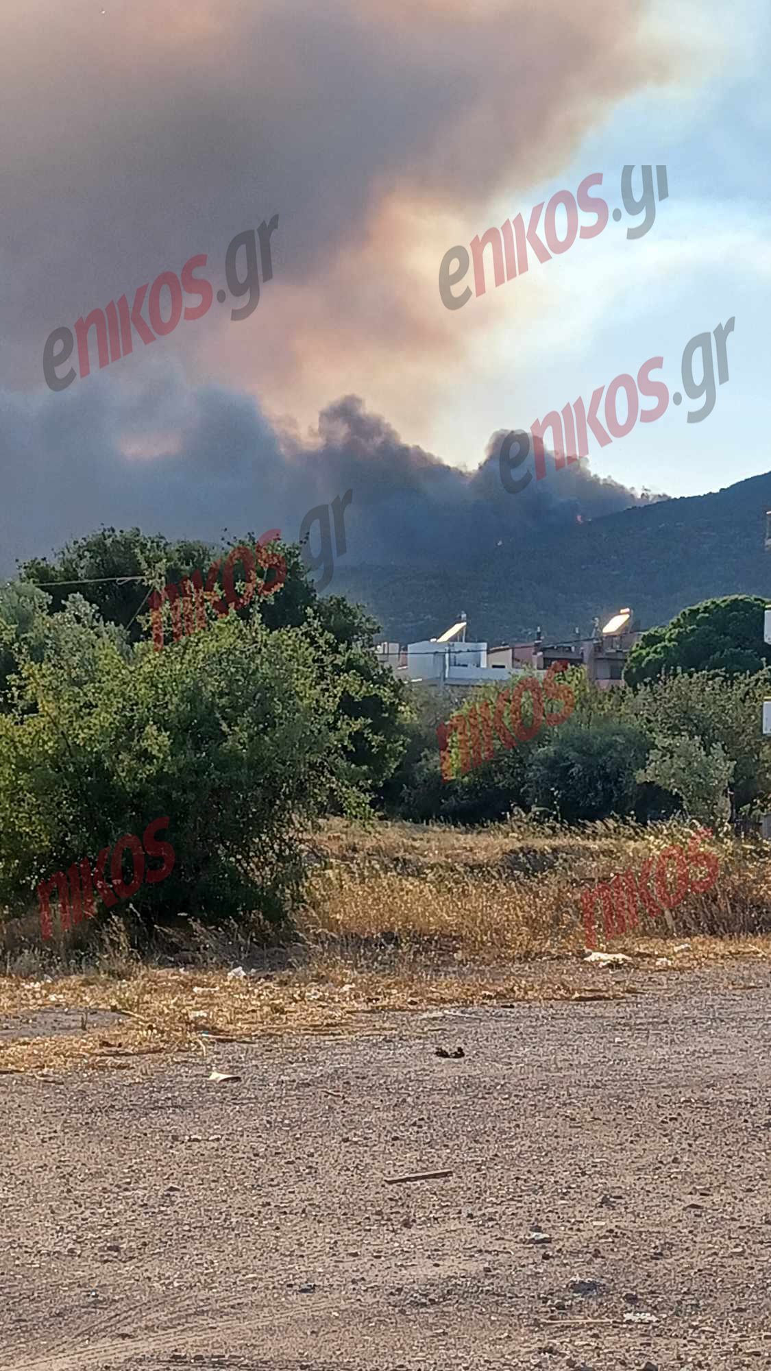 Θρακομακεδόνες φωτιά Πάρνηθας