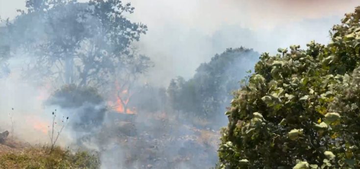 φωτιά Αλεξανδρούπολη