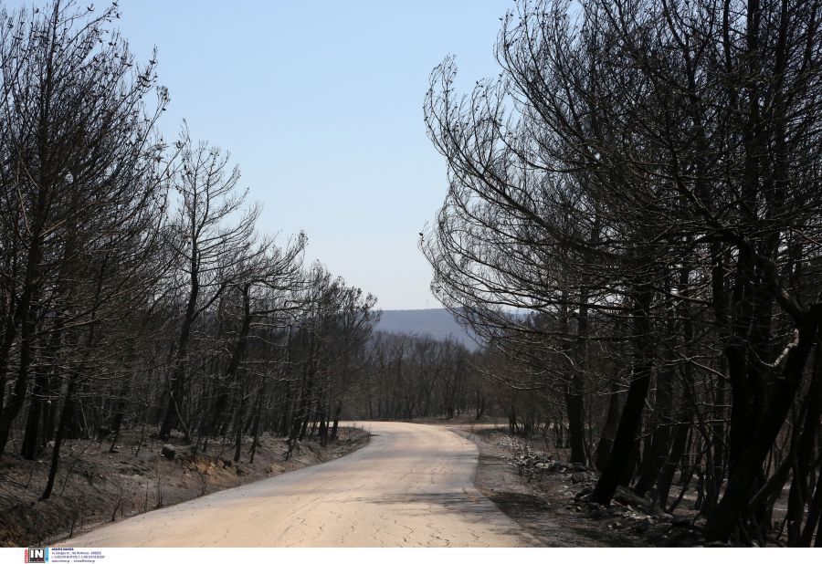 φωτιά Δαδιά