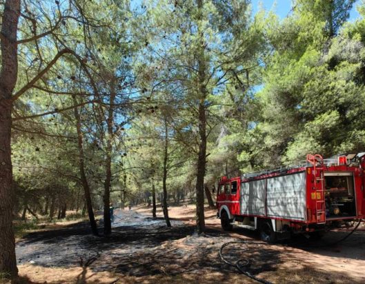 φωτιά εμπρησμός Διόνυσος